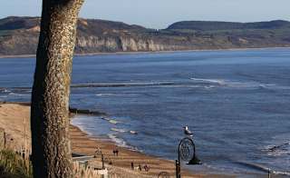Charmouth to Lyme Regis image