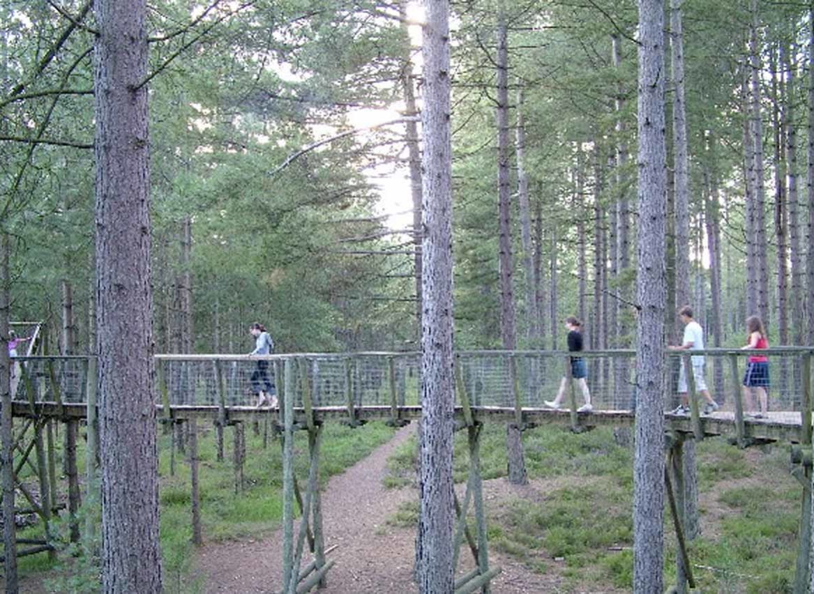 A family walking across a bridge at the Moors Valley Country Park in Hampshire. image