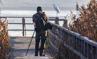 Arne, RSPB Nature Reserve image