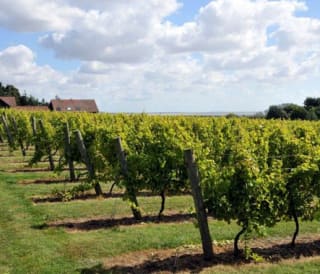 Things to do in Essex