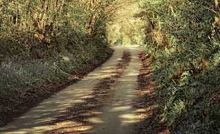 Looe woodland, River and Coast image