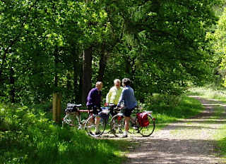 Sherwood pines forest park image
