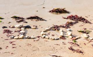 Totland Bay image