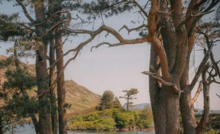 Arthog Falls image