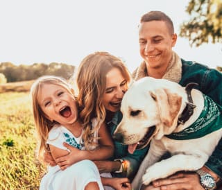 Our top things to do on holiday with your dog image