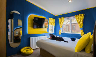 Pawsome Staycations image