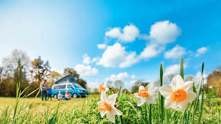 Spring Breaks at Away Resorts image