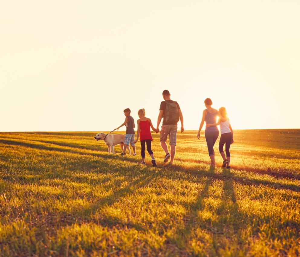 The top special occasion holiday ideas