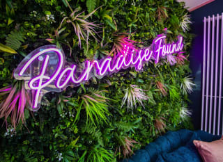 A uniquely decorated seating area with fake vines on the wall, a blue loveseat and a pink neon sign which says, ''Paradise Found