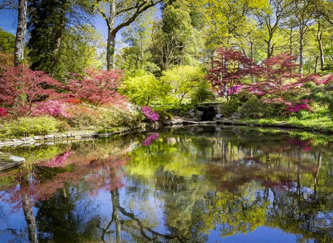 A photo of a body of water situated within densly-packed woodland near our holiday park of Sandy Balls, Hampshire. image