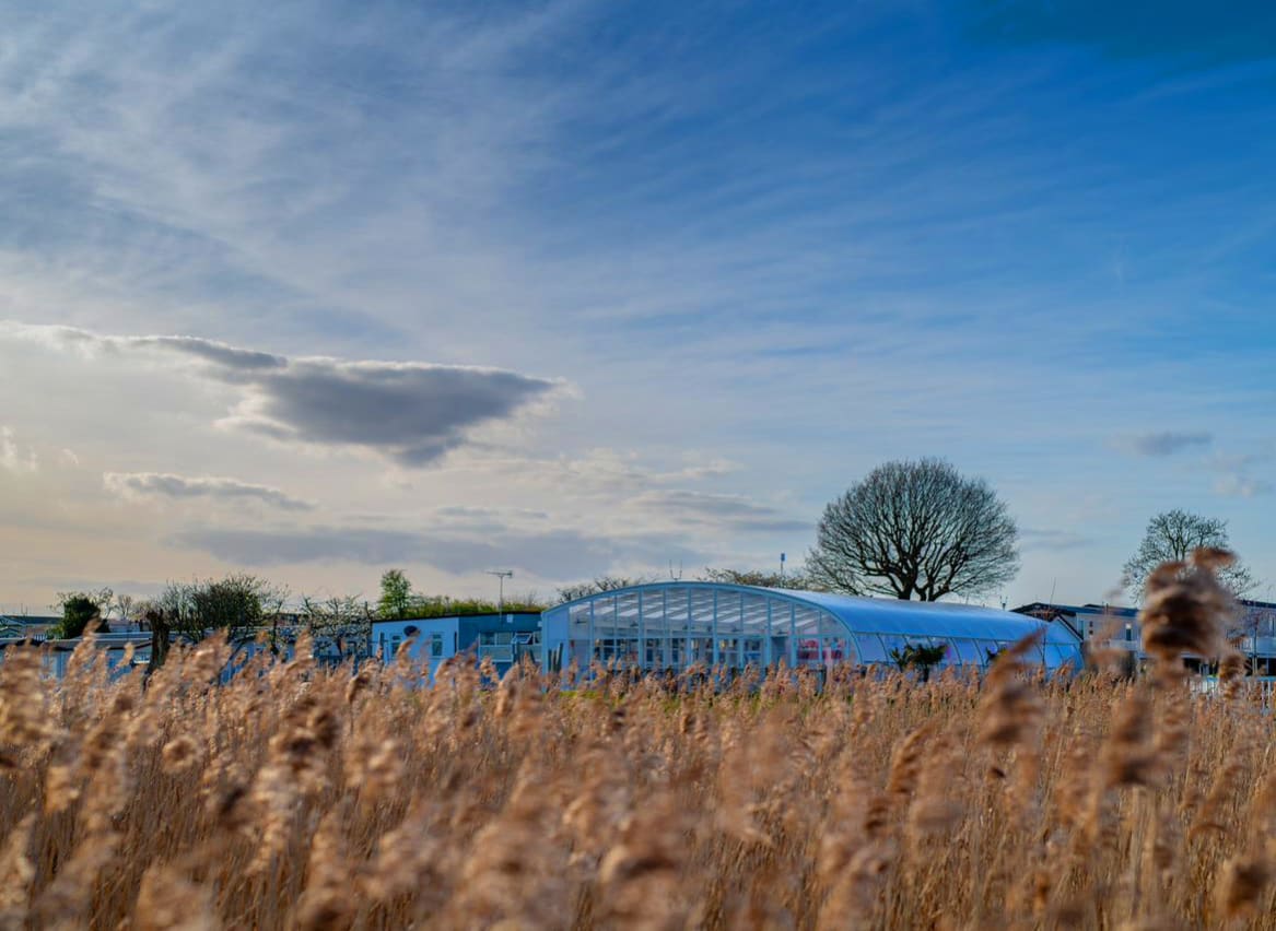 A view of the indoor pool through some long grass. image
