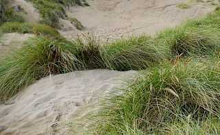 Summerleaze, Bude image