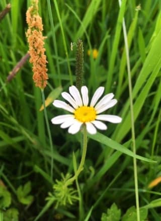 Creating homes for wildlife