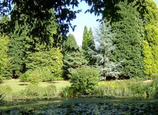 Furzey Gardens image