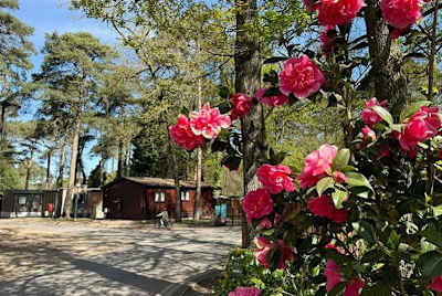 Westlake image