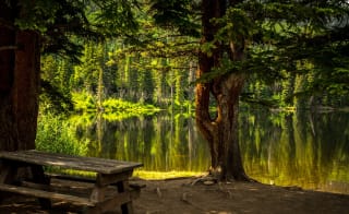 Creswell Crags image