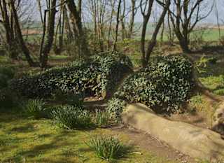 The Lost Gardens of Helligan image