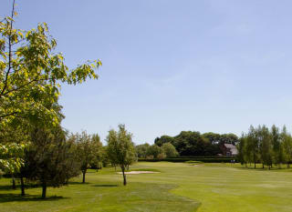 A photo of the green grassy grounds to a golf course on a cloudy day. There are fully grown trees either side of the photo. image