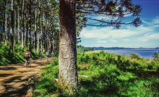 Cowes to Brighstone image
