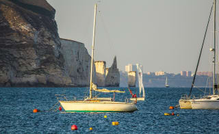 Swanage Sea Fishing image