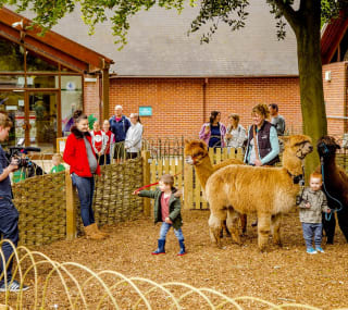 Activities for groups image