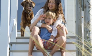 Dog friendly breaks image