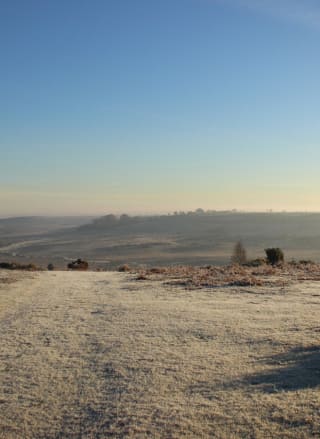 A view of the stunning New Forest on a snowy, winter's day.