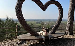 Last-minute dog-friendly breaks UK image
