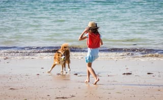 Dog friendly escape image