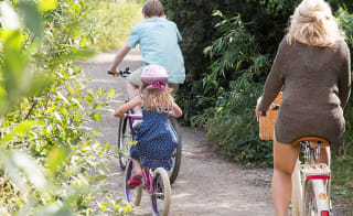 A family out cycling on a sunny day through the woods. image