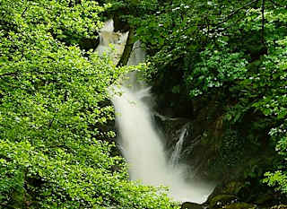 Dolgoch Falls image