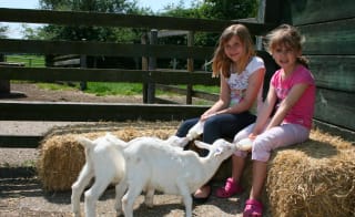 Longdown Activity Farm image