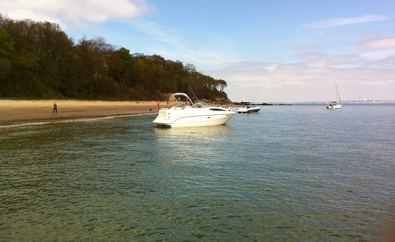 Mottistone Gardens to Sudmoor Point image