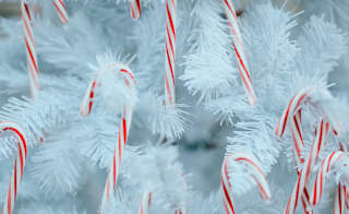 Candy Cane Hunt image