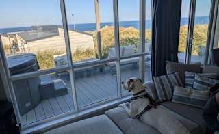 Dog friendly holidays image