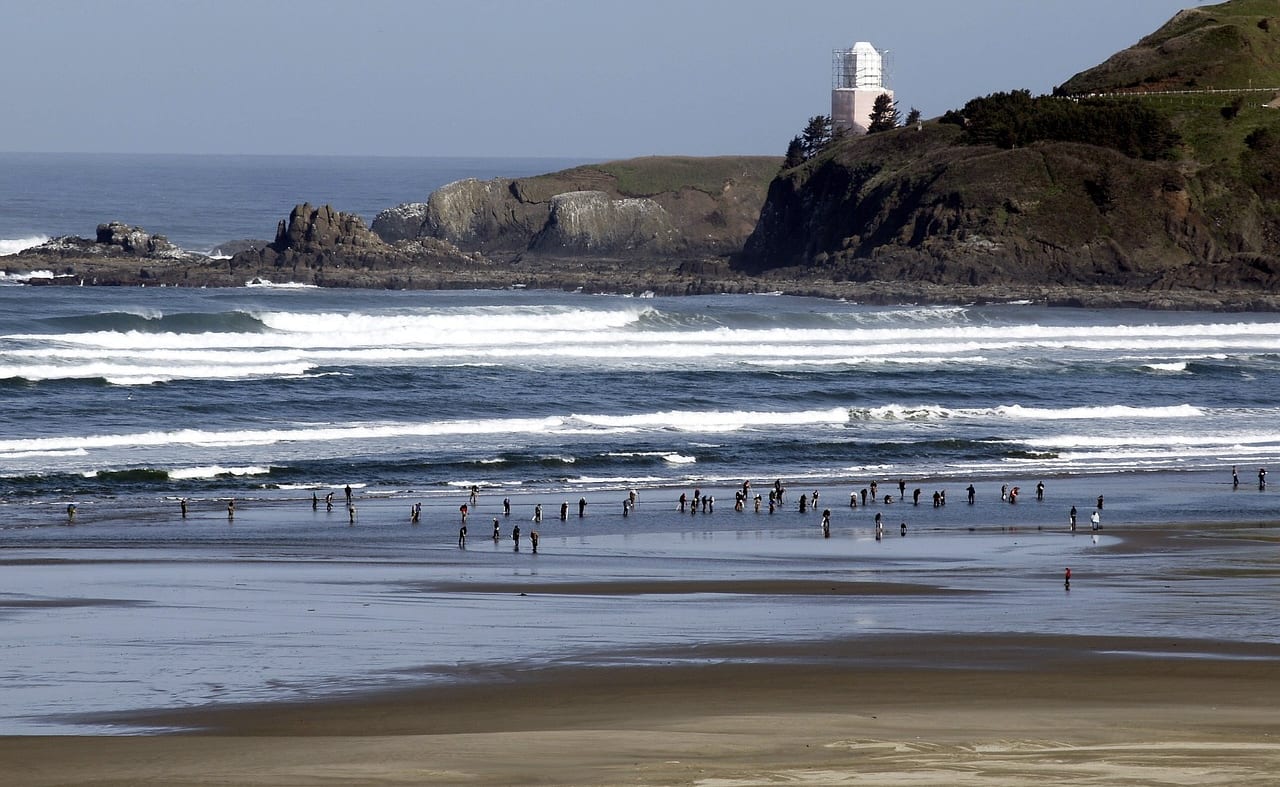 Newport to Merstone image