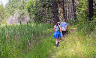 Romantic walks image