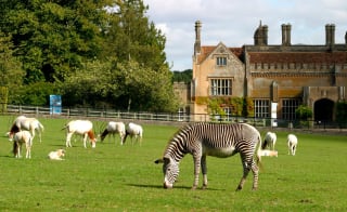 Marwell Zoo image