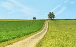 Explore the Lincolnshire Wolds image