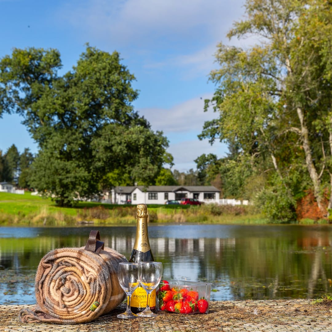 A view of the lake at our park in Scotland, Moffat Manor. There is a picnic blanket on the floor with a rolled up blanket, bottle of bubbly, two wine glasses and some strawberrys.