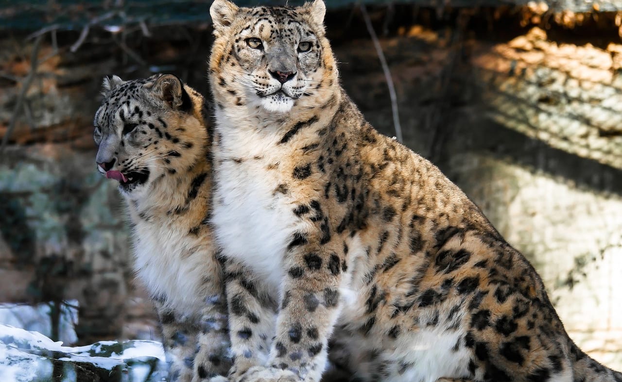 Woodside Wildlife Park, Newball image