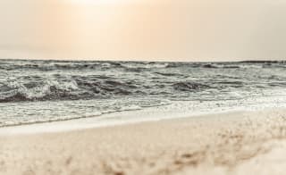 Lee-on-the-Solent image