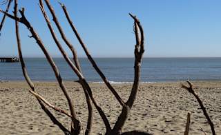 Sandown Beach, Sandown image