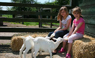 Longdown Activity Farm image