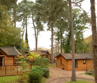 Lodge Holidays