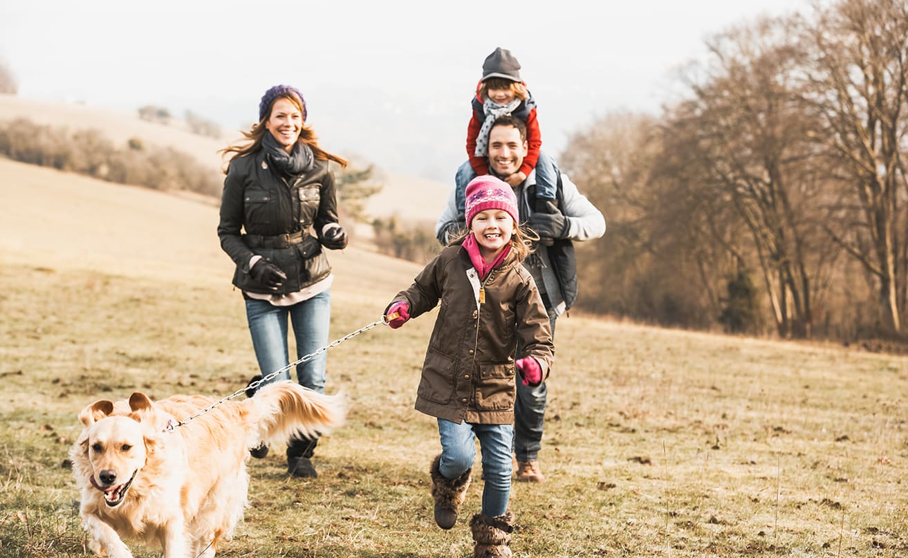 Countryside walks image