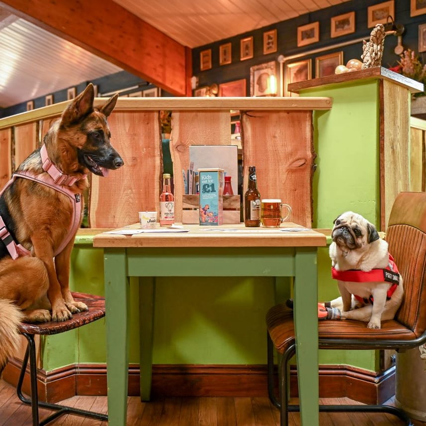 The Dog’s Frolics: Away Resorts opens UK’s first pub for dogs image