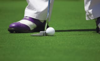 Shanklin and Sandown Golf Club image