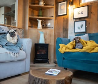 Pet-Friendly Parks