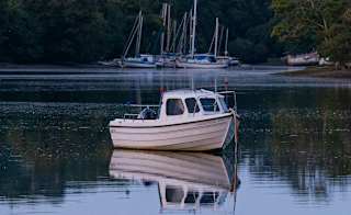 Helford River Cruise image